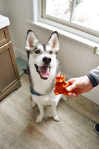 Snacks Whimzees "Hedgehog"