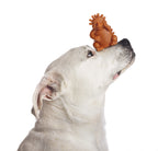 Snacks Whimzees "Hedgehog"