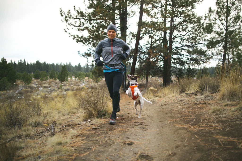 Arnés Ligero "Hi & Light" Ruffwear - XS: Pecho 43-56 cm / Blue Atoll