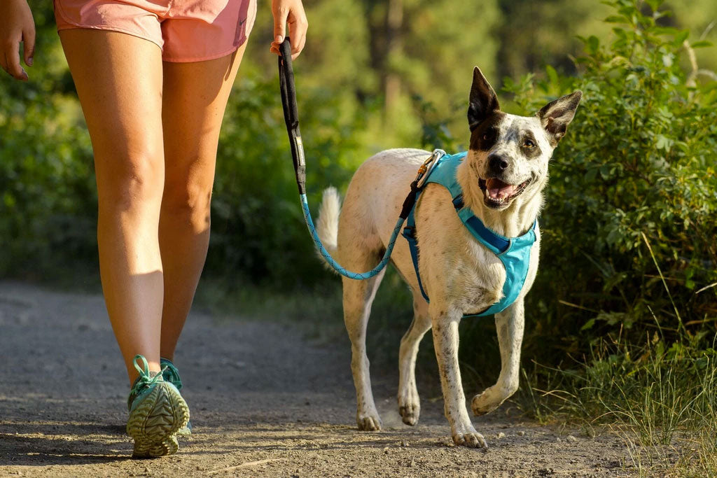 Arnés Ligero "Hi & Light" Ruffwear - L/XL: Pecho 81-107 cm / Blue Atoll