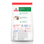 Hill's "Healthy Development" para Gatitos