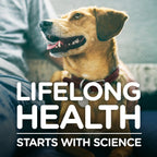 Hill's "Healthy Development" Small Bites para Cachorros