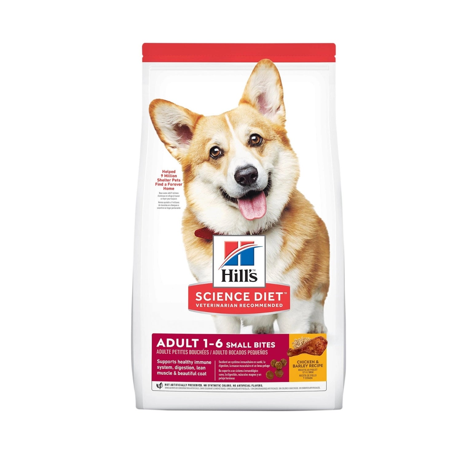 Hill's Adult Small Bites para Perros Pequeños con pollo y cebada, alimento seco en croquetas pequeñas para perros adultos.