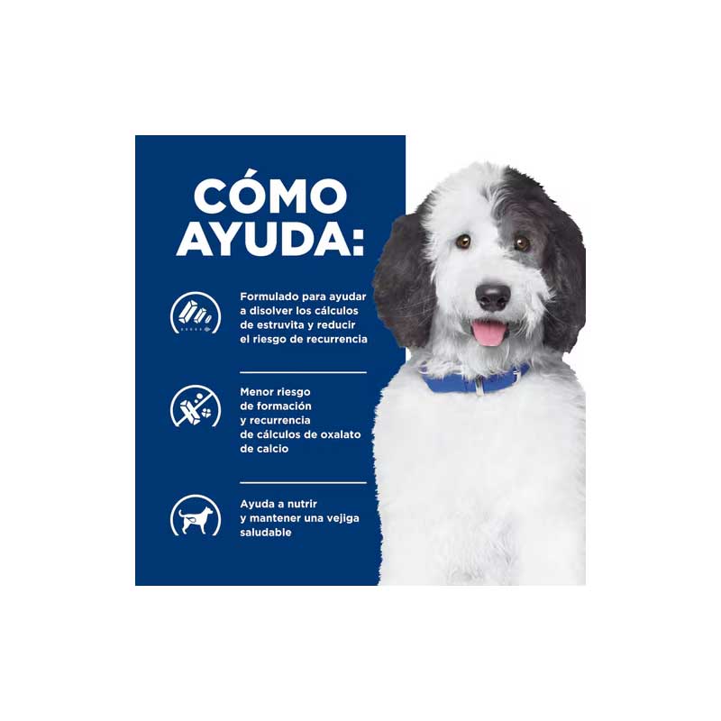 Hill's Cuidado Urinario c/d para Perros