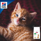 Hill's "Healthy Development" para Gatitos