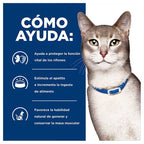 Hill's "Kidney Care" k/d Cuidado Riñon Gatos 