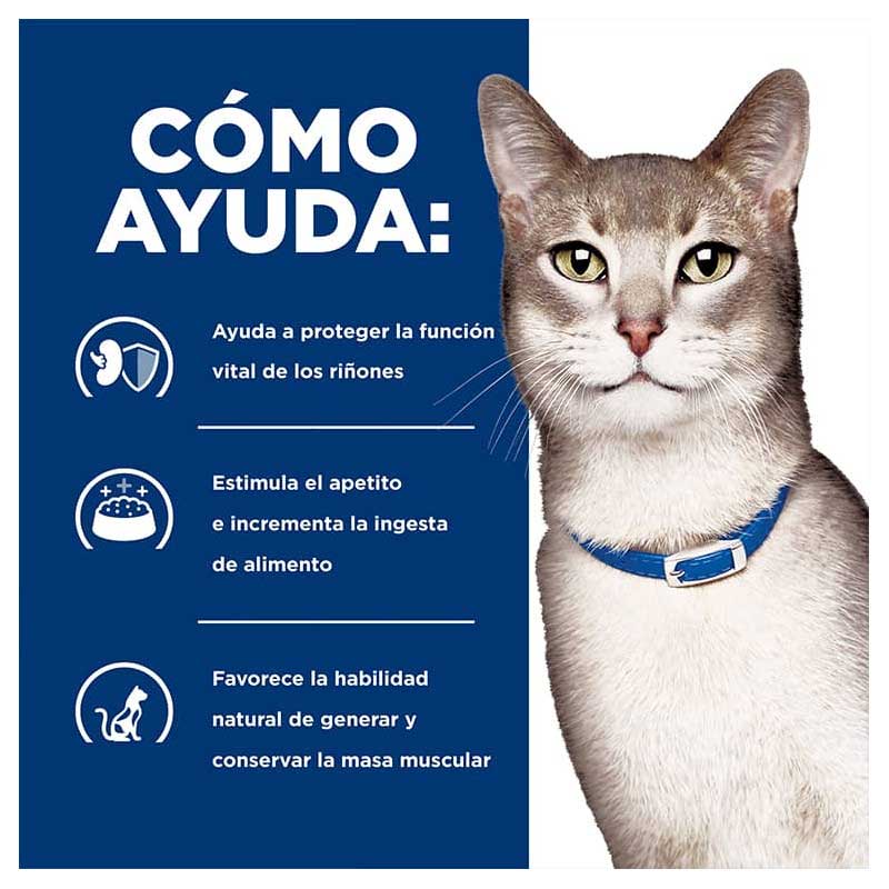 Hill's "Kidney Care" k/d Cuidado Riñon Gatos 