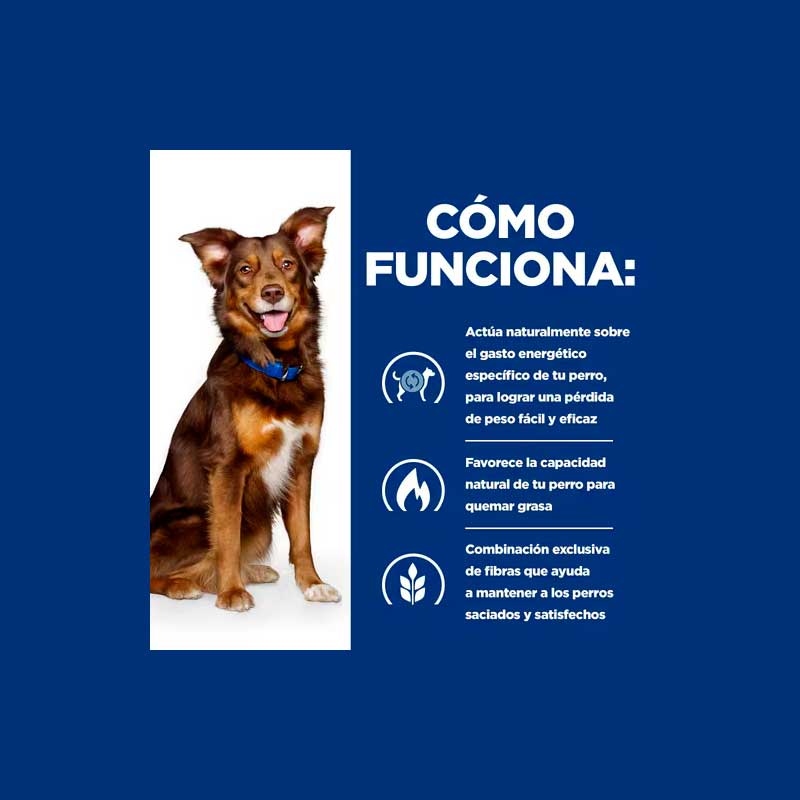 Hill's Lata Mini Metabolic Estofado Pollo y Vegetales para Perros 156 g