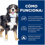 Hill's Metabolic+Mobility para Perros en bolsa Prescription Diet, alimento veterinario para control de peso y apoyo a la movilidad.