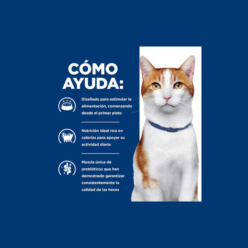 Hill's Alimento Seco Onc Care para Gatos 3,2 Kg