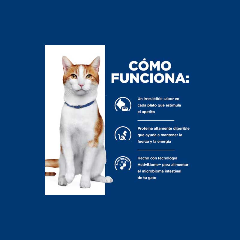 Hill's Lata Onc Care para Gatos 100 g