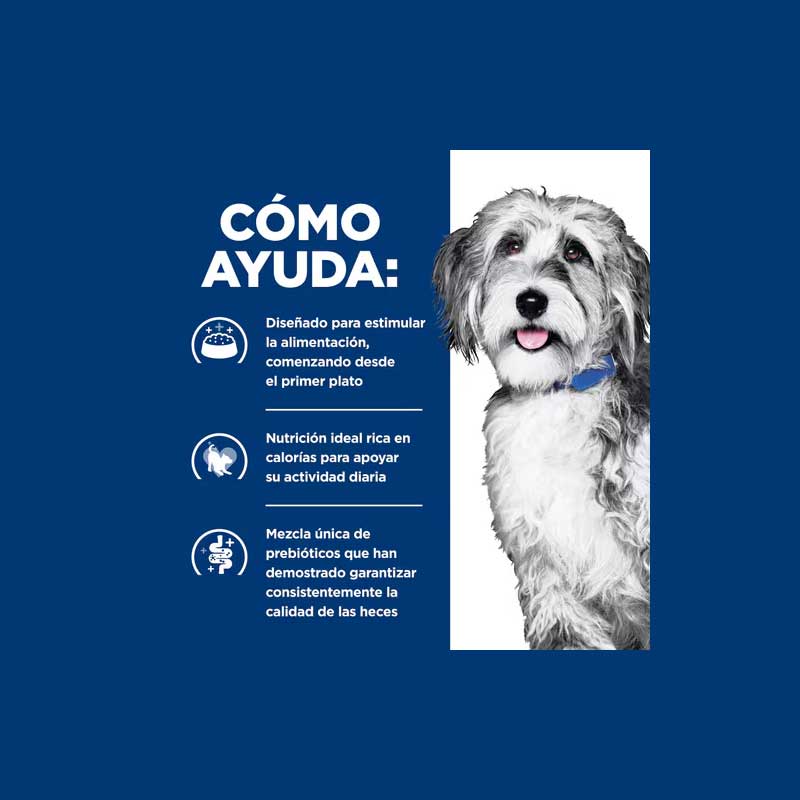 Hill's Lata Onc Care para Perros 400 g