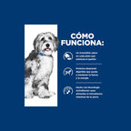 Hill's Lata Onc Care para Perros 400 g