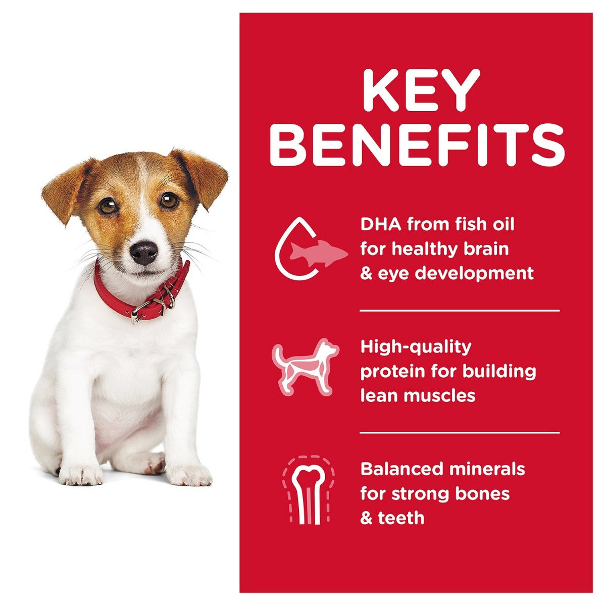 Hill's "Healthy Development" Small Bites para Cachorros