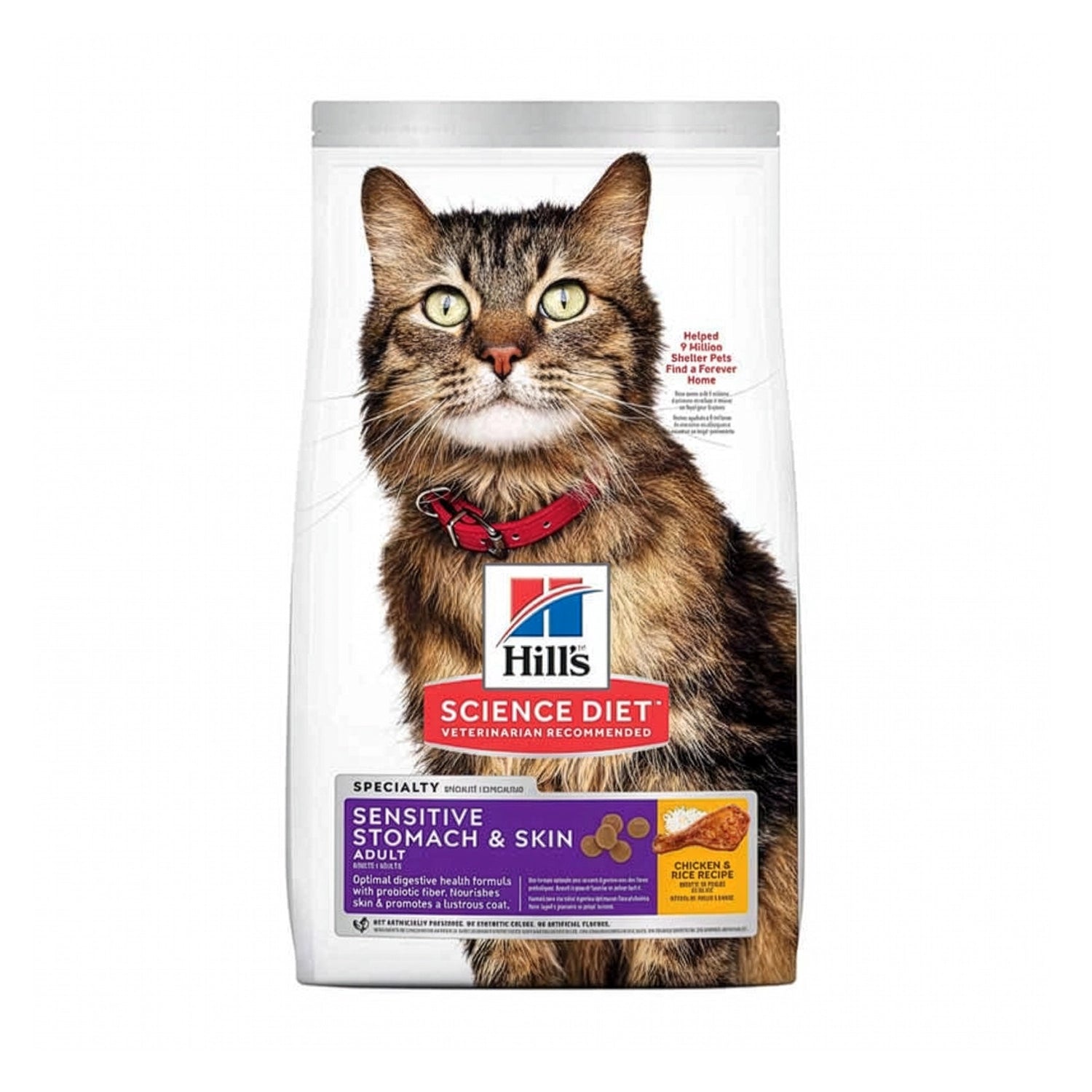 Hill's Sensitive Stomach & Skin para Gatos con pollo y arroz, alimento seco para la salud digestiva y el cuidado de la piel.