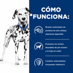 Hill's u/d Cuidado Urinario para Perros en bolsa Prescription Diet con un dálmata, alimento clínico para el cuidado de la salud urinaria.