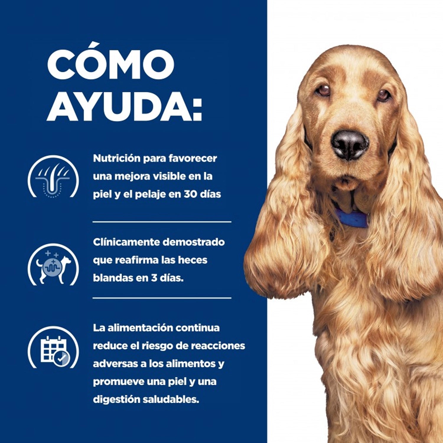 Hill's Lata Z/D Skin/Food Sensitivities para Perros 370 g