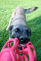 Pelota Malla Hol-ee Roller