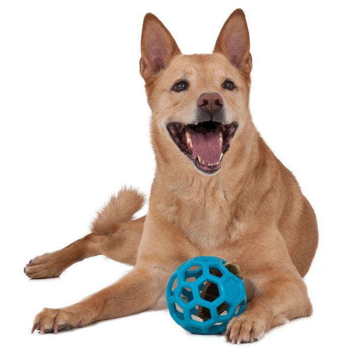 Pelota Malla Hol-ee Roller