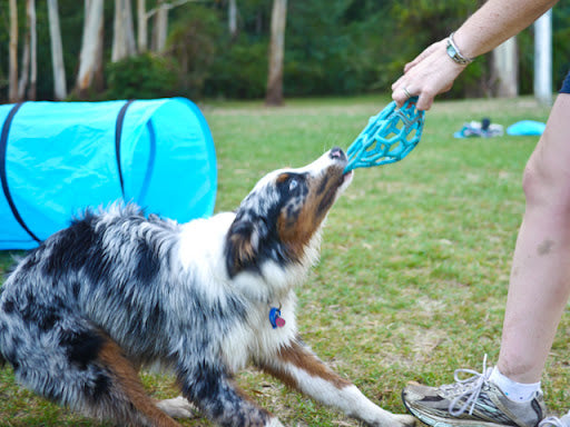 Pelota Malla Hol-ee Roller