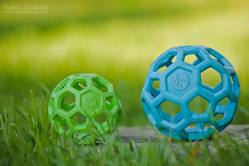 Pelota Malla Hol-ee Roller