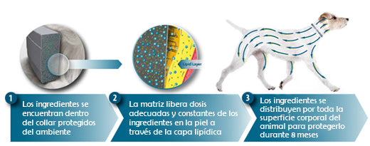 Collar Antiparasitario Seresto