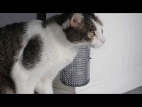 Cepillo de Pared Autoservicio "Self Groomer" con Catnip