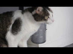 Cepillo de Pared Autoservicio "Self Groomer" con Catnip