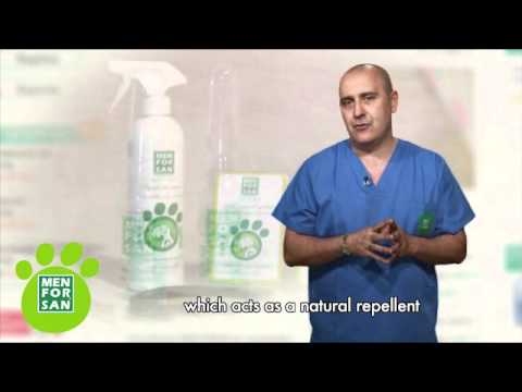 Collar Anti Insectos, Pulgas y Garrapatas para Gatos