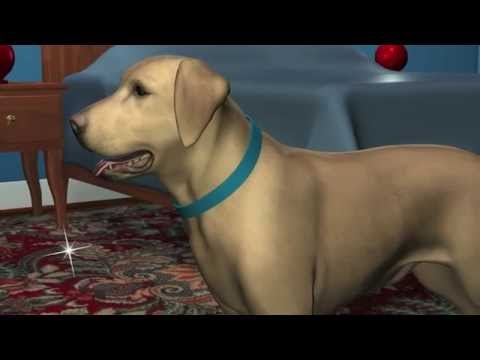 Antiparasitario REVOLUTION 12% para Perros de 5,1 a 10 kg