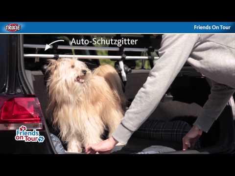 Set de Bicicleta para Perros