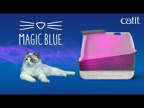 Filtro MAGIC BLUE para Caja de Arena