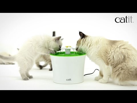 Bebedero Estilo Fuente Floral para Gatos