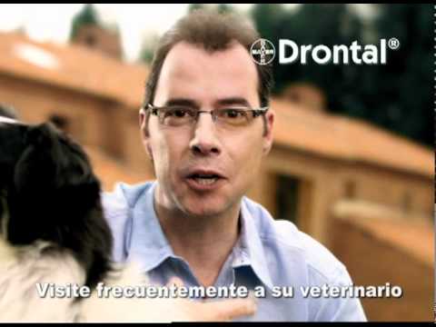 Antiparasitario Comprimido DRONTAL PLUS para Perros - Desde 35 kilos