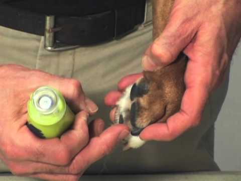 Limador de Uñas FURminator