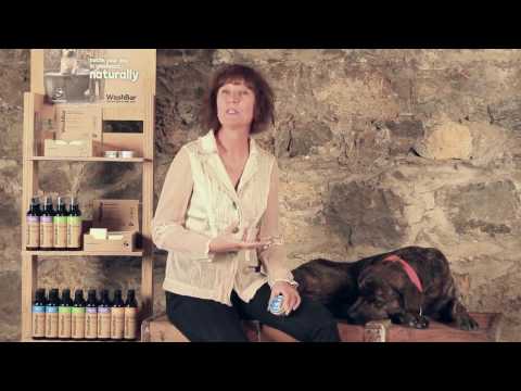 Bálsamo Reparador de Patas para Perros