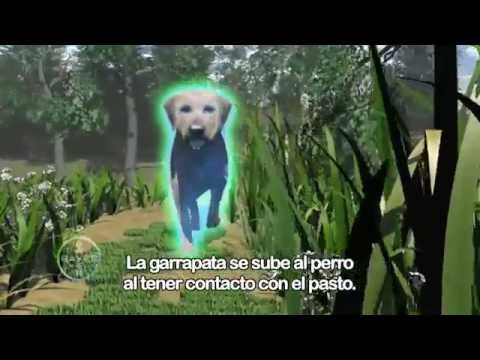 Antiparasitario Pipeta Advantix para Perros - 4 a 10 kilos