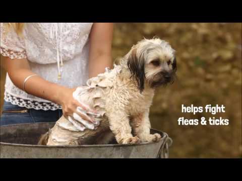 Jabón Natural para Perros