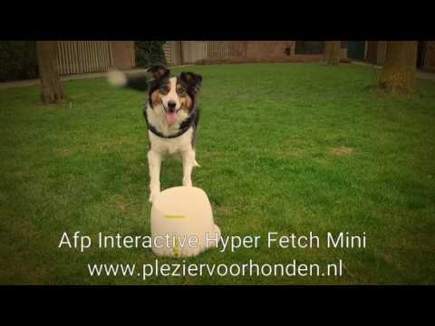Mini Pelotas de Tenis para Lanzador "Hyper Fetch Mini"