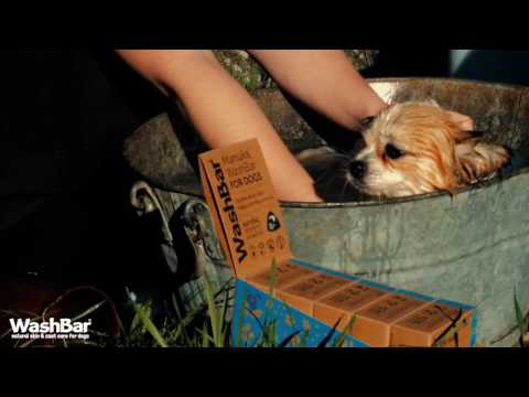 Shampoo Calmante de Picazón en Perros