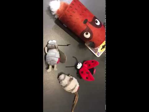 Tucán con Sonido "Melody Chaser"