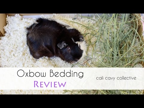 Sustrato para Cama "Pure Comfort"