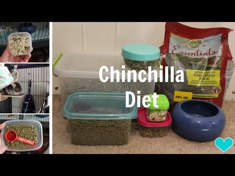 Oxbow "Essentials" Alimento para Chinchilla 