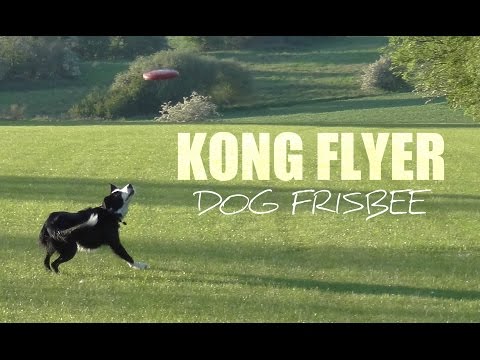 KONG "Flyer" Frisbee para Perros - L: Perros medianos a grandes