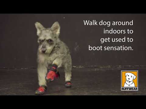 Botas Todo Terreno "Grip Trex" Ruffwear 1 Par (2 botas) - 7 cm / Rojo