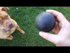KONG Pelota Extreme para Perros