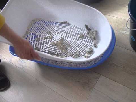 Bandeja Sanitaria "Berto Threepart"