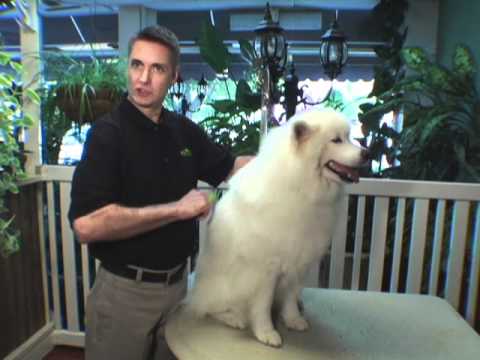 Peineta FURminator Finishing Comb para Perros