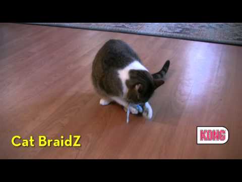 KONG Wubba Ratón para Gatos