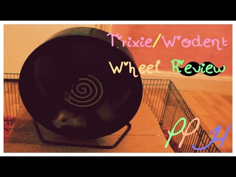 Rueda Plástica de Ejercicio para Roedores